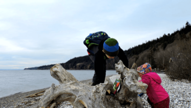 Why Camano Island in Washington Should Be Your Next Trip