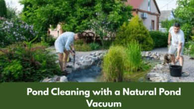Cleaning