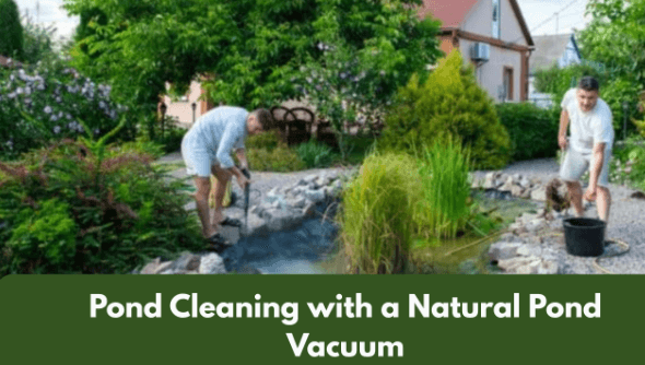 Cleaning
