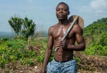 enhance growth with digital tools