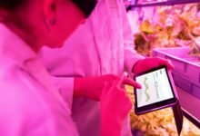 enhance your digital tools